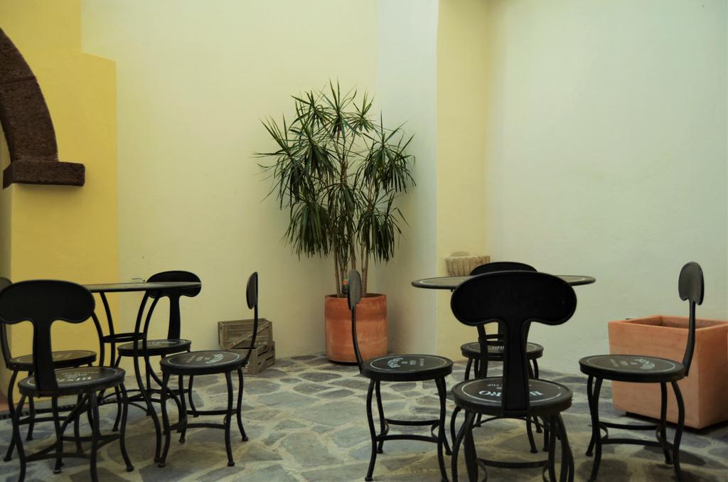 Studios Funchal By Petit Hotels מראה חיצוני תמונה